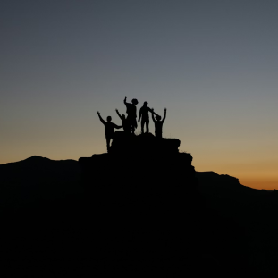 Picture of The Content Team