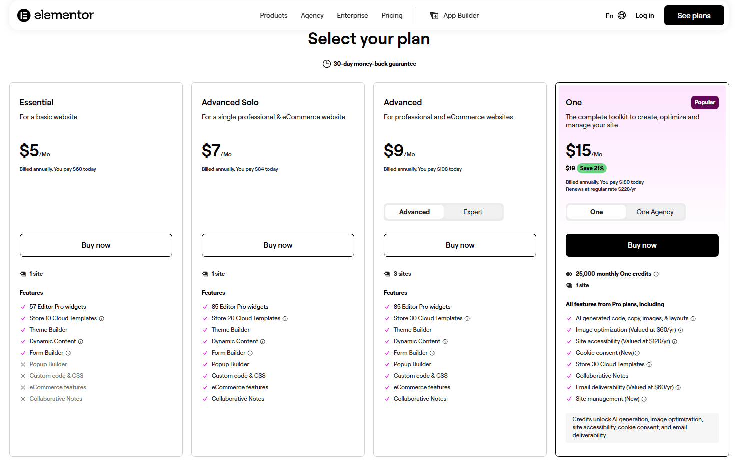 Elementor Pricing